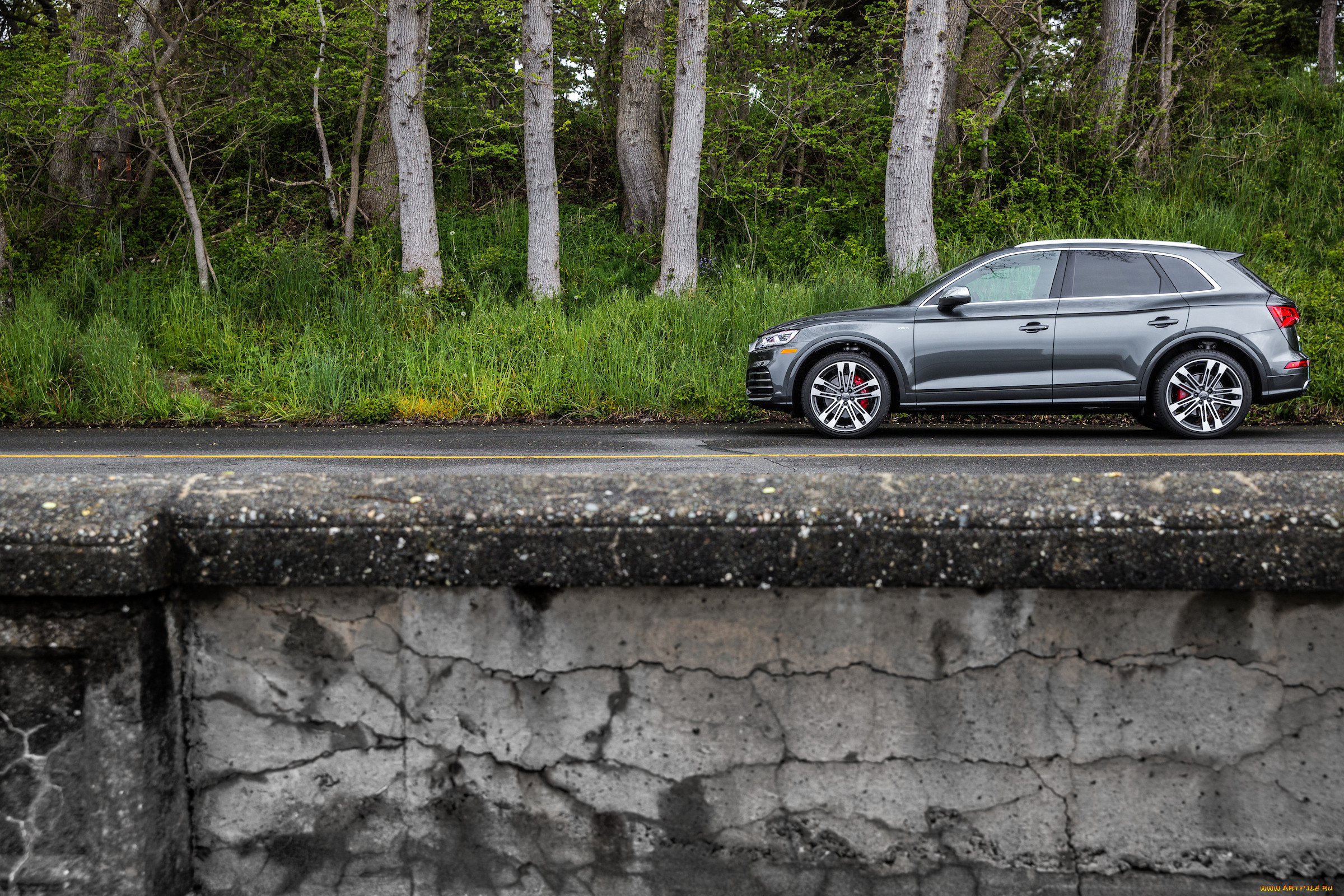 , audi